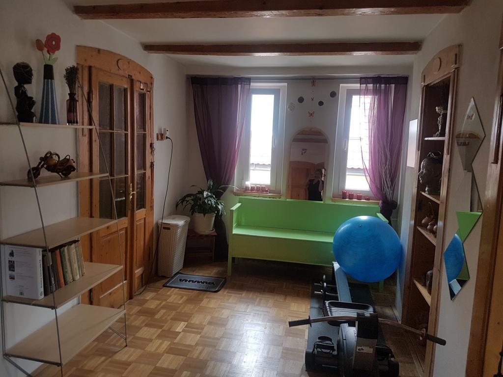 Apartman Pod Svatou Horou Příbram Εξωτερικό φωτογραφία